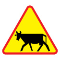 Znak A-18a Zwierzęta gospodarskie drogowy ostrzegawczy
