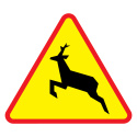 Ostrzegawczy Znak A-18b dzikie zwierzęta na drodze 600 mm