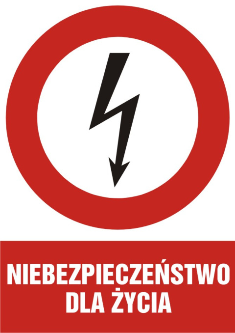 Znak elektryczny - Niebezpieczeństwo dla życia, 10,5x14,8 cm, folia