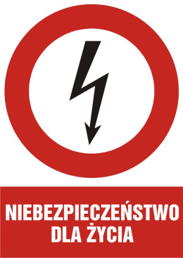 Znak elektryczny - Niebezpieczeństwo dla życia, 14,8x21 cm, folia