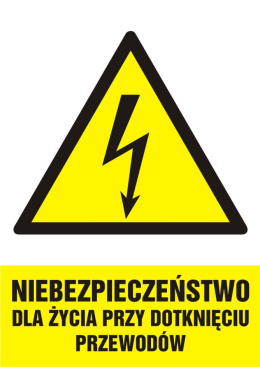 Znak elektryczny - Niebezpieczeństwo dla życia przy dotknięciu przewodów, 10,5x14,8 cm, folia