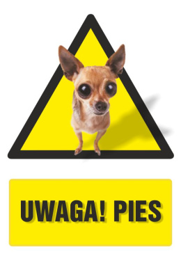 Uwaga! Pies, 14,8x21 cm, PCV 1 mm