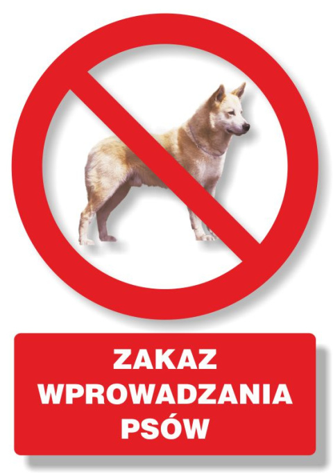 Zakaz wprowadzania psów, 14,8x21 cm, PCV 1 mm