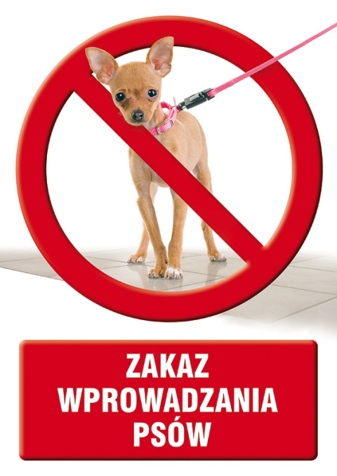 Zakaz wprowadzania psów, 14,8x21 cm, PCV 1 mm