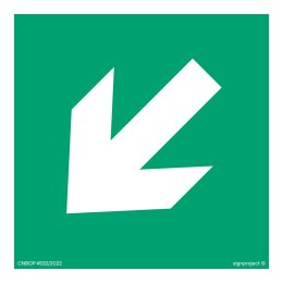 Znak AE006 Kierunek drogi ewakuacyjnej, 100x100 mm, TS - Płyta TD fotoluminescencyjna