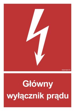 Znak BC008 Główny wyłącznik prądu, 400x594 mm, PS - Płyta 1 mm fotoluminescencyjna