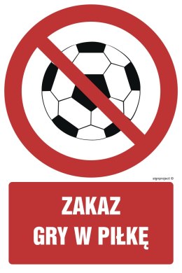 Znak GC049 Zakaz gry w piłkę, 350x525 mm, PN - Płyta 1 mm