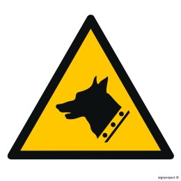 Znak GD013 Ostrzeżenie przed złym psem, 200x200 mm, PN - Płyta 1 mm