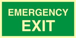 Emergency exit, 15x30 cm, SYSTEM TD