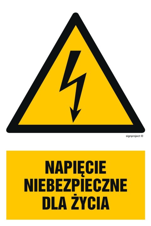 Znak HA002 Napięcie niebezpieczne dla życia - arkusz 9 naklejek, 50x75 mm, FN - Folia samoprzylepna Znak HA002 Napięcie niebezpieczne dla życia - arkusz 9 naklejek, 50x75 mm, FN - Folia samoprzylepna