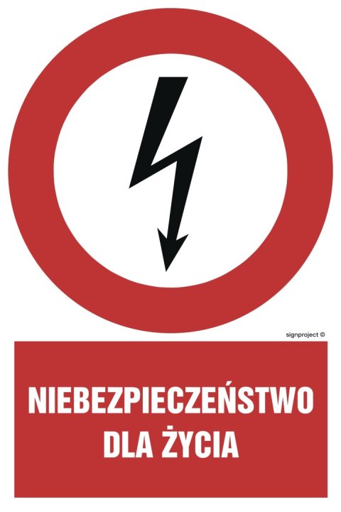 Znak HC001 Niebezpieczeństwo dla życia, 700x1050 mm, PN - Płyta 1 mm Znak HC001 Niebezpieczeństwo dla życia, 700x1050 mm, PN - Płyta 1 mm