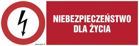 Znak HD001 Niebezpieczeństwo dla życia - arkusz 8 naklejek - arkusz 8 naklejek, 100x33 mm, FN - Folia samoprzylepna Znak HD001 Niebezpieczeństwo dla życia - arkusz 8 naklejek - arkusz 8 naklejek, 100x33 mm, FN - Folia samoprzylepna