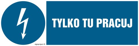 Znak HF009 Tylko tu pracuj, 200x67 mm, PN - Płyta 1 mm Znak HF009 Tylko tu pracuj, 200x67 mm, PN - Płyta 1 mm