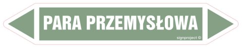 Znak JF311 PARA PRZEMYSŁOWA - arkusz 16 naklejek, 140x25 mm, FN - Folia samoprzylepna Znak JF311 PARA PRZEMYSŁOWA - arkusz 16 naklejek, 140x25 mm, FN - Folia samoprzylepna