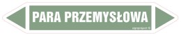 Znak JF311 PARA PRZEMYSŁOWA - arkusz 2 naklejek, 563x100 mm, FN - Folia samoprzylepna