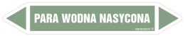 Znak JF313 PARA WODNA NASYCONA - arkusz 2 naklejek, 563x100 mm, FN - Folia samoprzylepna