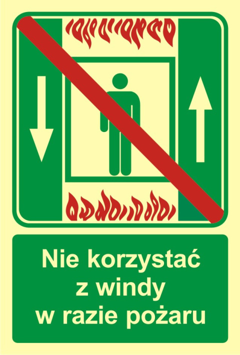 Zakaz korzystania z windy osobowej w razie pożaru, 15x22,2 cm, SYSTEM TD