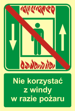 Zakaz korzystania z windy osobowej w razie pożaru, 15x22,2 cm, PCV 1 mm