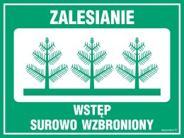 Znak OB002 Zalesianie - wstęp surowo wzbroniony, 400x300 mm, PN - Płyta 1 mm