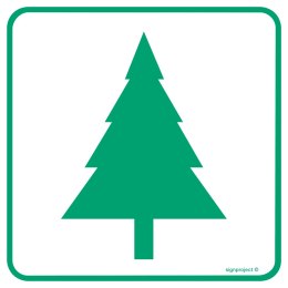 Znak OD013 Skupisko drzew iglastych, 350x350 mm, PN - Płyta 1 mm
