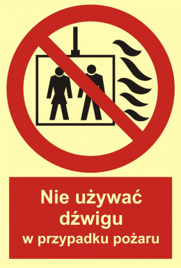Nie używać dźwigu w przypadku pożaru, 15x22,2 cm, folia